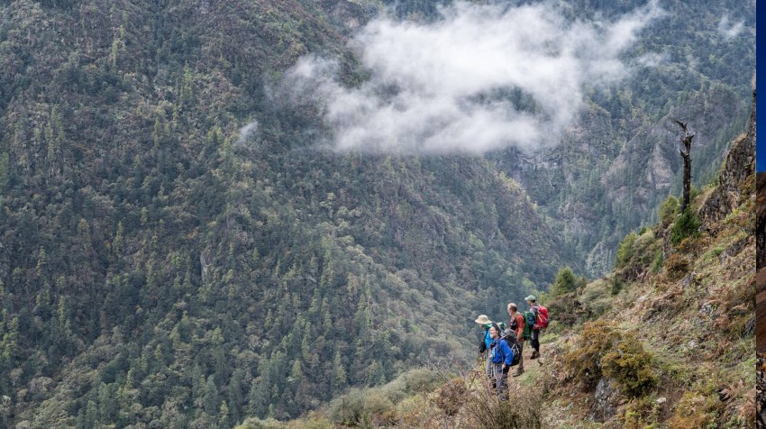 Druk Path Trek